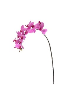 Flora Yapay Çiçek Orkide 57.5 Cm Çok Renkli Flora Yapay Çiçek Orkide 57.5 Cm Çok Renkli