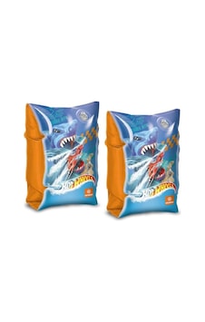 Hot Wheels Kolluk S00016875 Çok Renkli