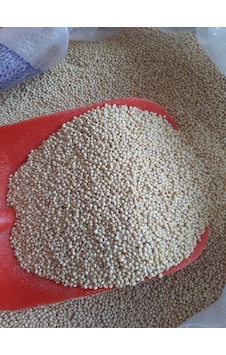 Muhabbet Kuş Yemi Ak Darı Beyaz Sade 3 Kg