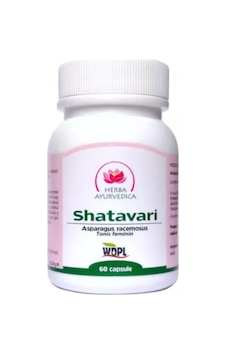 Shatavari Asparagus Racemosus 60 Kapsül Kadın Sağlığı Ve Hormon Desteği Shatavari Asparagus Racemosus 60 Kapsül Kadın Sağlığı Ve Hormon Desteği