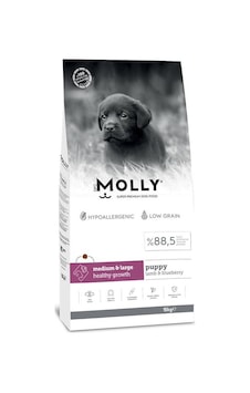 Molly Kuzulu & Yaban Mersinli Orta ve Büyük Irk Yavru Köpek Maması 15 KG