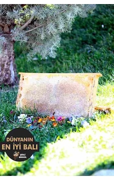 DÜZ PETEK(4KG) BAL