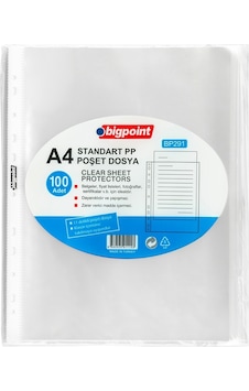 Bigpoint Poşet Dosya Standart 40 Mikron 100'Lü Paket N11.19139