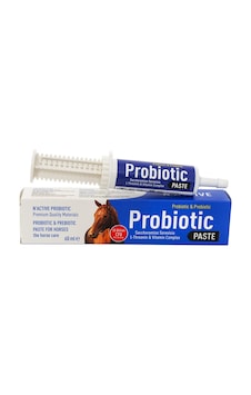N Active Probiotic Paste 60 ML N Active Probiotic Paste 60 ML