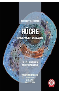Hücre Moleküler Yaklaşım