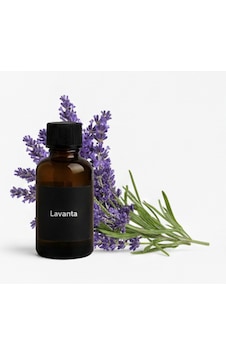 Lavanta Uçucu Yağ Esans Yağı Saf Lavanta Yağı 10 Ml Buhar Makinası Kurutma Makinası İçin Lavanta Uçucu Yağ Esans Yağı Saf Lavanta Yağı 10 Ml Buhar Makinası Kurutma Makinası İçin