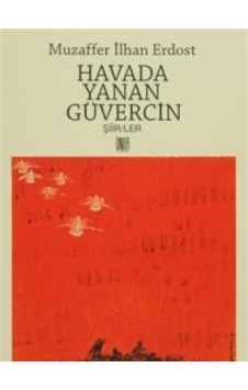 Havada Yanan Güvercin