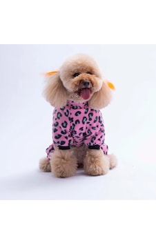 Pawstar 26910 Pembe Innsbruck Leopar Tulum-21616 Pawstar 26910 Pembe Innsbruck Leopar Tulum-21616