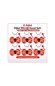 639lı Uğur Böceği Kostüm Seti Kanat Taç Asa 1