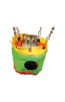 Karlie Naylon Hamster Evi 25x10  Cm