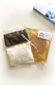 Kombuçça Kombucha Başlangıç Kiti Mantarı Kombuça Scoby - Kombu Çayı - Kambuça Kültürü Mayası 3'lü