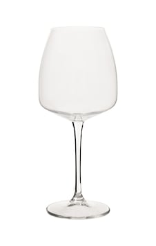 Mudo Home Vino Kadeh 610 Ml Çok Renkli Mudo Home Vino Kadeh 610 Ml Çok Renkli