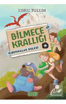 Ejderhalar Kulesi - Bilmece Krallığı 3 - Ebru Tulum - Acayip Ejderhalar Kulesi - Bilmece Krallığı 3 - Ebru Tulum - Acayip