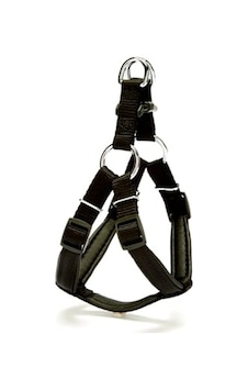 Köpek Göğüs Tasması 45cm Small Köpek Göğüs Tasması 45cm Small