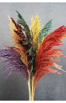 Alyones Dekoratif Şoklanmış Pampas Otu Karışık Renk 14lü 100 Cm Alyones Dekoratif Şoklanmış Pampas Otu Karışık Renk 14lü 100 Cm