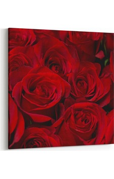 Olla 60x60 Cm 11557k Çiçek Görseli Kare Kanvas Tablo Olla 60x60 Cm 11557k Çiçek Görseli Kare Kanvas Tablo