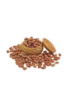 Tuzlu Fıstık Büyük Boy Dökme 500 Gr 0.75 LT - 2.5 LT - 12 KG Tuzlu Fıstık Büyük Boy Dökme 500 Gr 0.75 LT - 2.5 LT - 12 KG