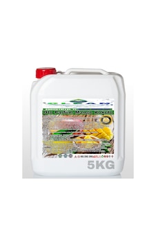 CLEAN OTO PARFÜM MANGO KOKULU 5KG