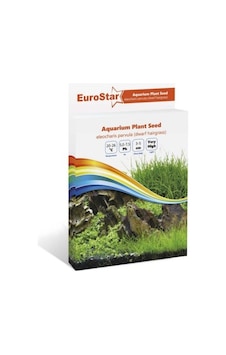 Eurostar Bitki Tohumu Eleocharis  Parvula