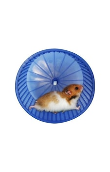 Hamster Çarkı Büyük Karışık Renk Hamster Çarkı Büyük Karışık Renk