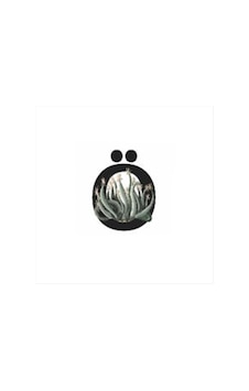 Harf - 505 - Figürlü Kaktüs Sukulent - Smglobal - Saksısı Ö Harf - 505 - Figürlü Kaktüs Sukulent - Smglobal - Saksısı Ö