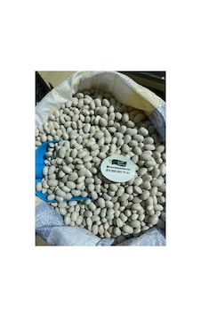 Akkuş Şeker Kuru Fasulyesi 1kg