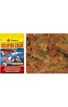Tropical Goldfish Colour 12G Tropical Goldfish Colour 12G