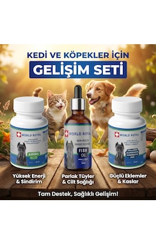 Köpek Collojen Msm Amino Fish Oil