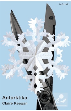 Antarktika / Claire Keegan