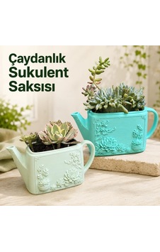Çaydanlık Sukulent Saksısı Dekoratif Kaktüs Ve Sukulent Saksı Çaydanlık Sukulent Saksısı Dekoratif Kaktüs Ve Sukulent Saksı