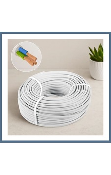 Buradabulabilirsin Ttr 3x2.5 Mm Cca Elektrik Kablosu 100 M Bbz Buradabulabilirsin Ttr 3x2.5 Mm Cca Elektrik Kablosu 100 M Bbz