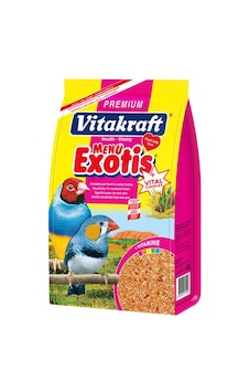 Vitakraft - 145 - Menu Egzotik Fınch Yemi - Spt-gld - 500 Gr Vitakraft - 145 - Menu Egzotik Fınch Yemi - Spt-gld - 500 Gr