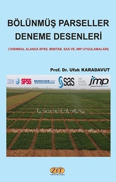 Bölünmüş Parseller Deneme Desenleri  - Ufuk Karadavut  - Zet Yayınları