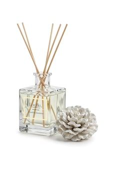 Lucille Chakra Jasmin Oda Kokusu 500 Ml Bambu Çubuklu Lucille Chakra Jasmin Oda Kokusu 500 Ml Bambu Çubuklu