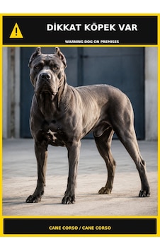 Dikkat Köpek Var Cane Corso Görselli Pvc Uyarı Levhası 21x30cm Dikkat Köpek Var Cane Corso Görselli Pvc Uyarı Levhası 21x30cm
