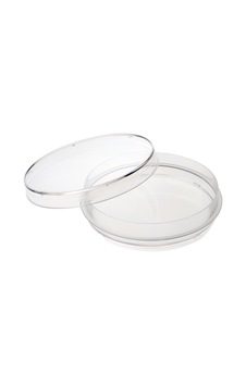 Cam Petri Kabı Kutusu 120x20 Mm Cam Petri Kabı Kutusu 120x20 Mm