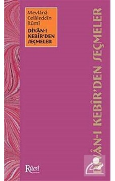 Divan-ı Kebir'den Seçmeler - Bekir Şahin - Rumi Yayınları