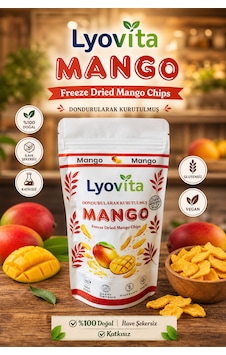 Mango Dondurularak Kurutulmuş Freeze Dried 20 G Mango Dondurularak Kurutulmuş Freeze Dried 20 G