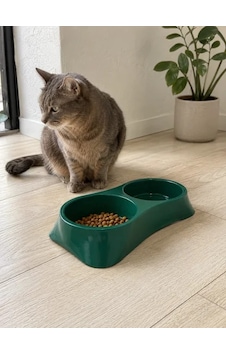 İkili Model Beton Kedi Köpek Mama Ve Su Kabı 24cm 12cm 5cm - Yeşil İkili Model Beton Kedi Köpek Mama Ve Su Kabı 24cm 12cm 5cm - Yeşil