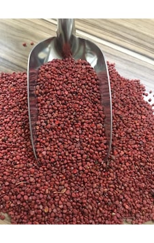 Fındık Turp Tohumu 1 KG
