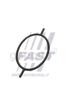Vakum Pompa Alt Orıngı Connect 2002 10 Adet Vakum Pompa Alt Orıngı Connect 2002 10 Adet
