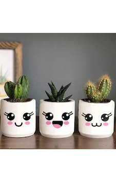 Kedi Desenli Saksı Çiçeksiz - Küçük Boy Sukulent Saksısı Çizim