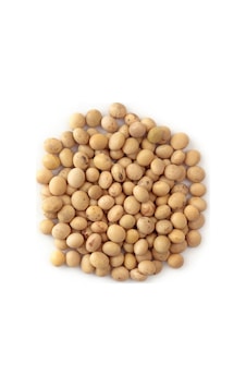 Sanita Soya Fasulyesi 1 KG