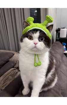 Busako Cat Özel Tasarım Kedi Kıyafeti Yeşil Busako Cat Özel Tasarım Kedi Kıyafeti Yeşil
