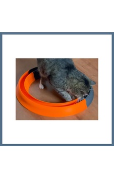 Buradabulabilirsin 3d Baskı Kediler İçin Halka Şeklinde Toplu Parkur Oyuncağı Yuvarlak Toplu Kedi Oyuncağı Turuncu Bbz Buradabulabilirsin 3d Baskı Kediler İçin Halka Şeklinde Toplu Parkur Oyuncağı Yuvarlak Toplu Kedi Oyuncağı Turuncu Bbz