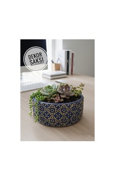 Beton Saksı Sukulent Bonzai Teraryum Arajman Çiçek Saksısı 18x7cm Bitkiler Hariç Lacivert-altın Beton Saksı Sukulent Bonzai Teraryum Arajman Çiçek Saksısı 18x7cm Bitkiler Hariç Lacivert-altın