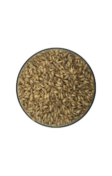 Hitit Malt Pale Arpa Maltı 1 KG Hitit Malt Pale Arpa Maltı 1 KG