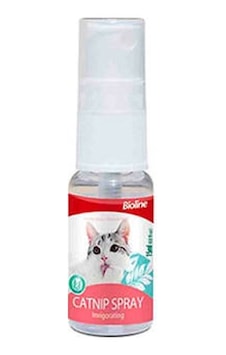 Northcity Catnip Kedi Otu Spreyi 15 Ml