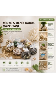 Dekoratif Vazo Taşı - Midye Ve Deniz Kabuğu - Fileli Renkli Mix 6998 Dekoratif Vazo Taşı - Midye Ve Deniz Kabuğu - Fileli Renkli Mix 6998