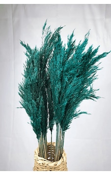 Şoklanmış Renkli Pampas Demeti 10'lu Set Zümrüt Yeşi Şoklanmış Renkli Pampas Demeti 10'lu Set Zümrüt Yeşi